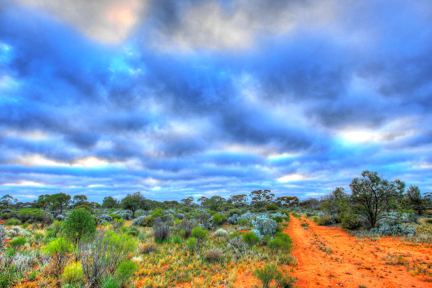 The Redcastle Project lies in the Leonora-Laverton gold corridor, one of Western Australia’s strongest gold districts.