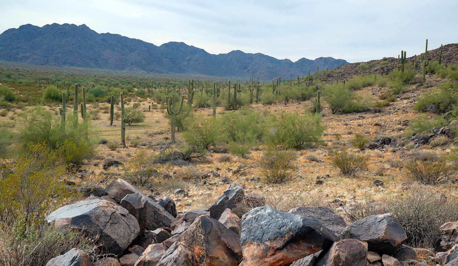 Kay is a high-grade polymetallic VMS project in Arizona where Arizona Metals has outlined an underground development pathway through its preliminary economic assessment.